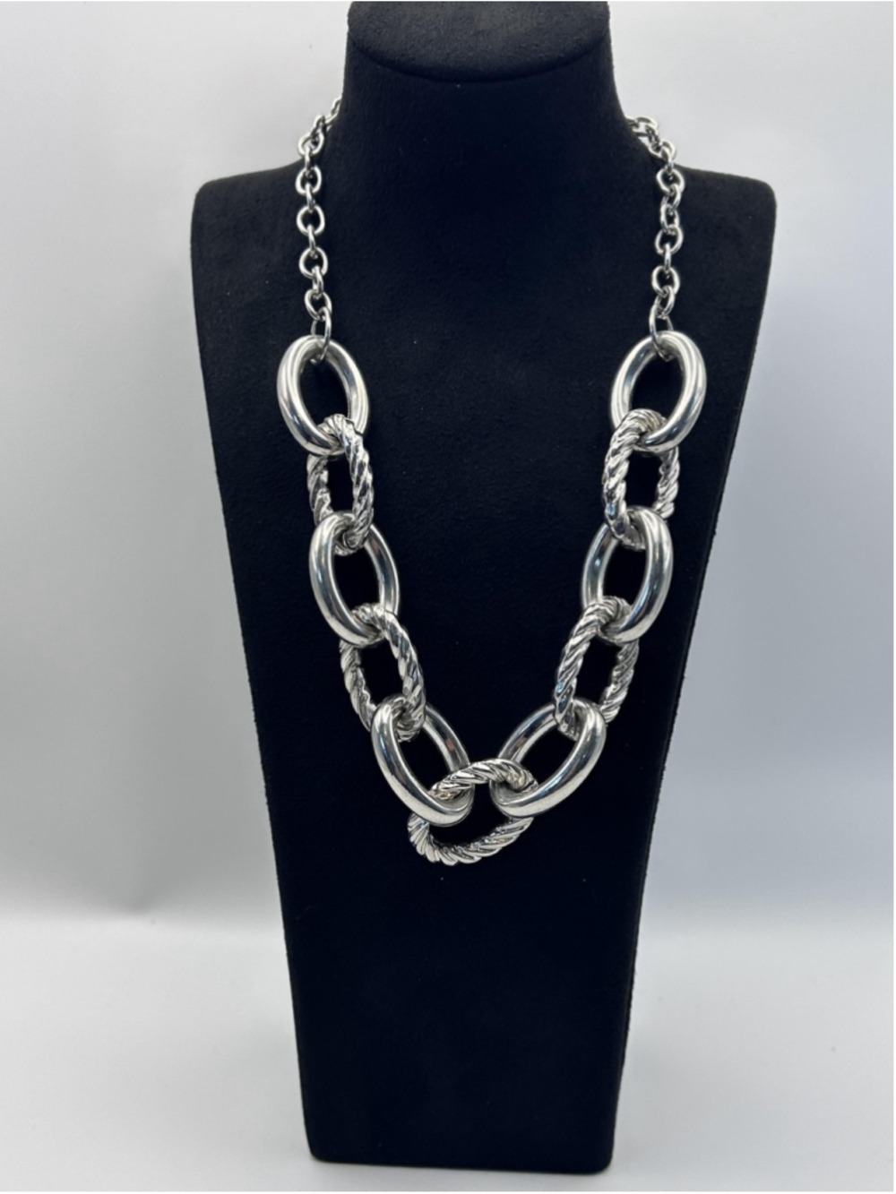Necklace Silver Tone Large Oval Link Rope Chain Statement Womens Lobster Clasp